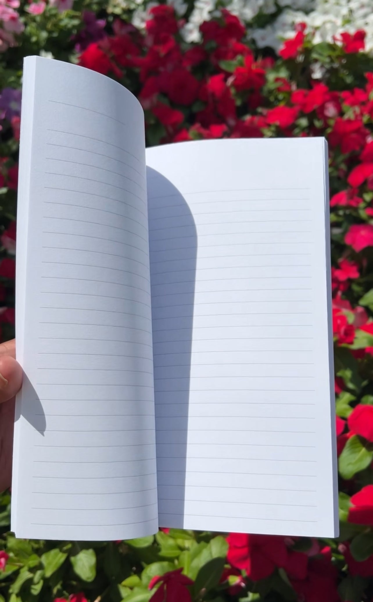 Ink & Water: A Journal for Reflection & Creativity